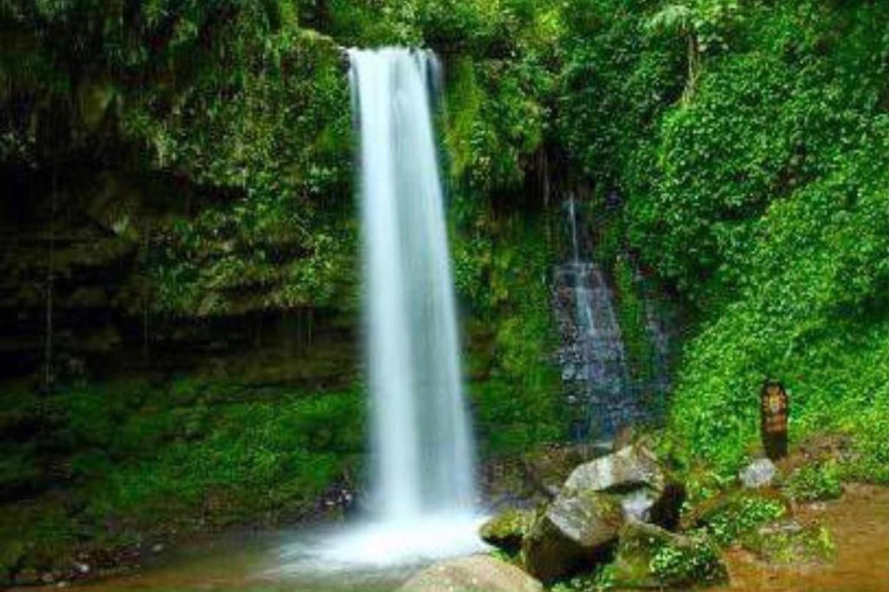 Oyo Home 90396 Mahua Rainforest Paradise Tambunan Exterior foto